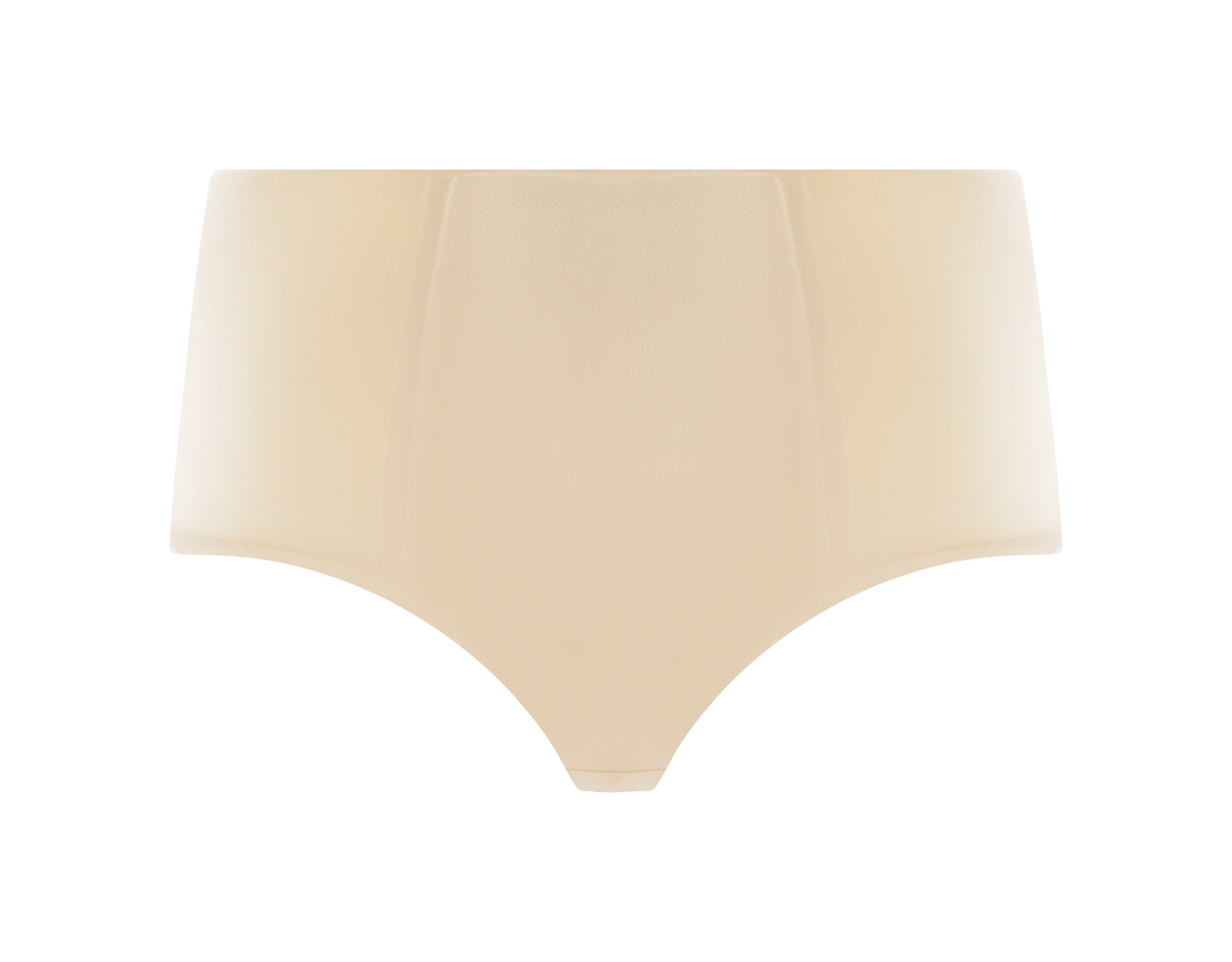 Full Brief